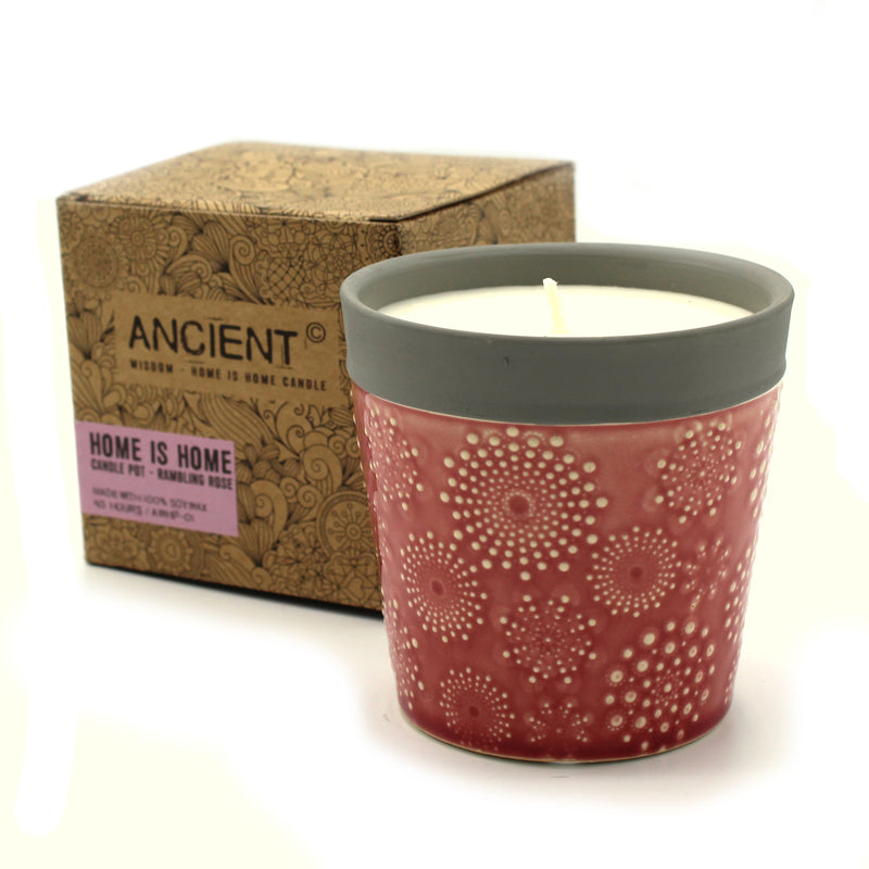 Soy Wax Candle in Pot - Creeping Rose