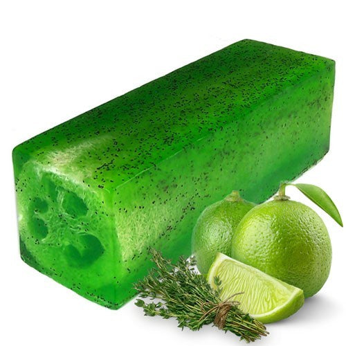 Loofah Soap Bread - Lime &amp; Thyme Scrub