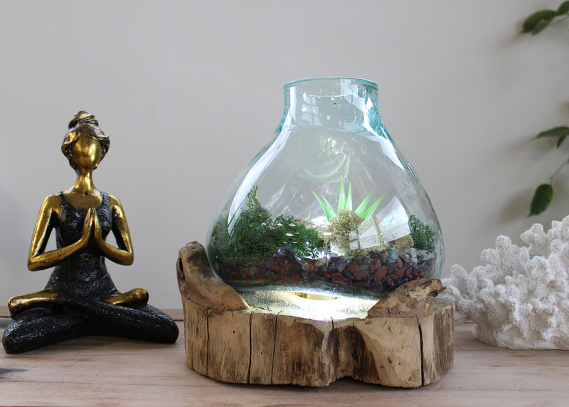 Gesmolten Glas op Houten Stronk - Aquarium