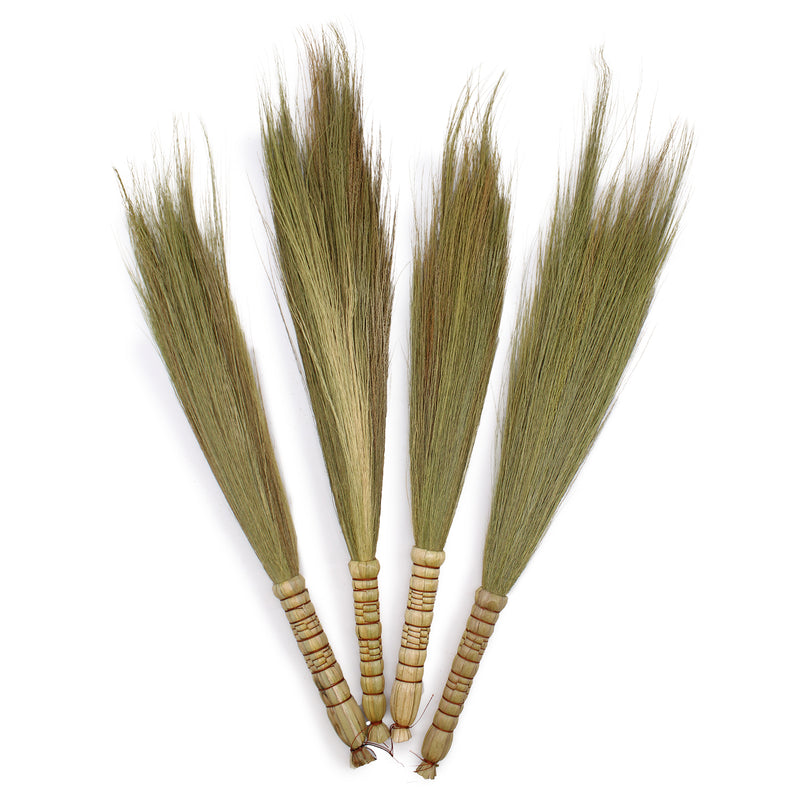 Set van 4 - Pampas Bezem - Naturel