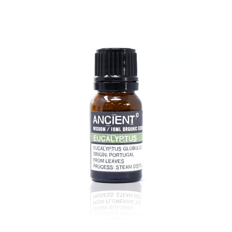 ORGANIC Essential Oil - Eucalyptus