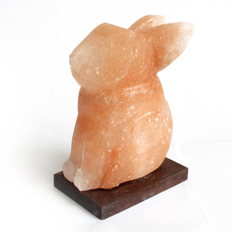 Himalayan Salt Lamp - Rabbit 