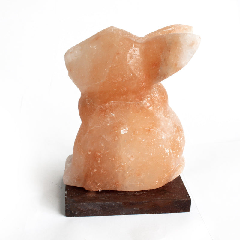 Himalayan Salt Lamp - Rabbit 