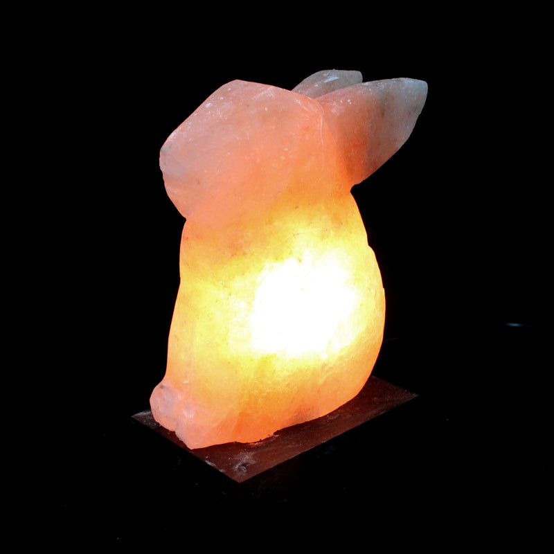 Himalayan Salt Lamp - Rabbit 