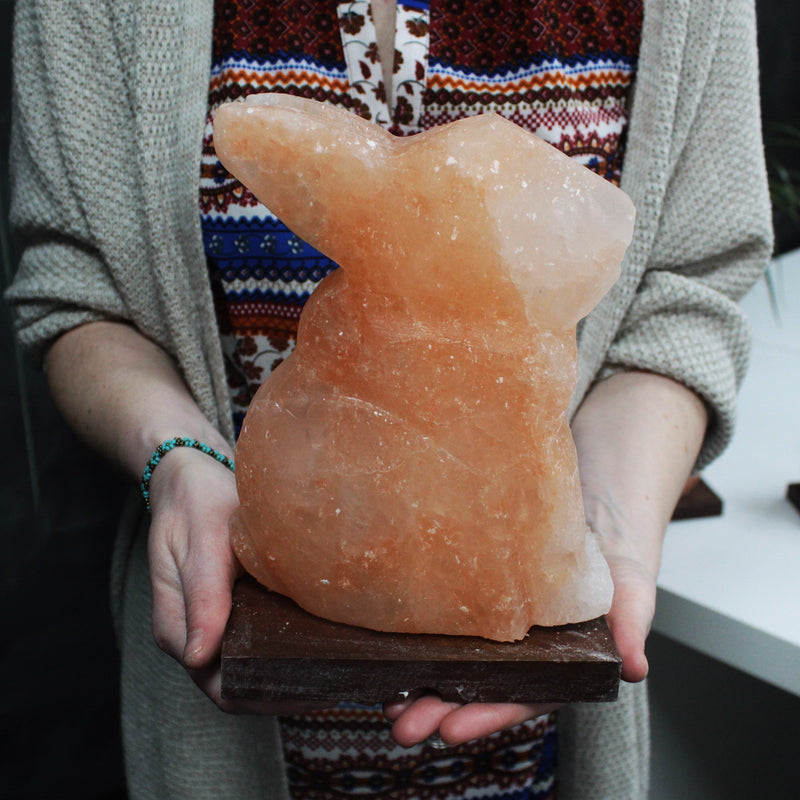 Himalayan Salt Lamp - Rabbit 