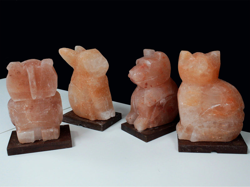 Himalayan Salt Lamp - Rabbit 