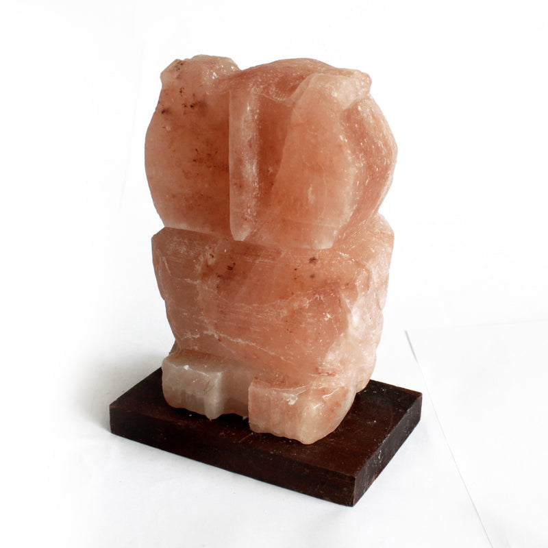 Himalayan Salt Lamp - Owl 