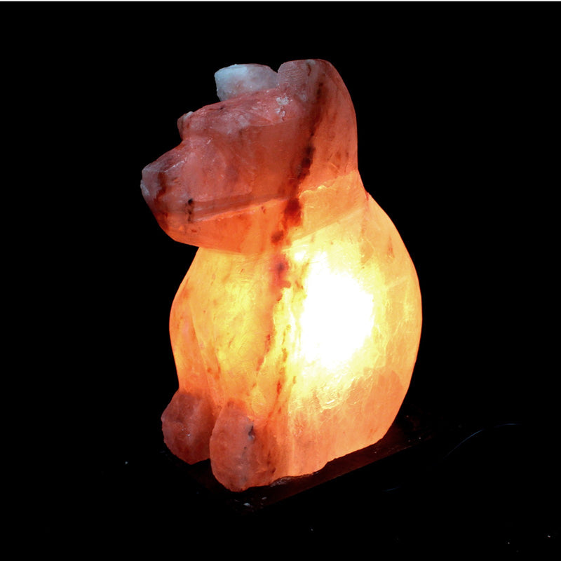 Himalaya Zout Lamp - Hond