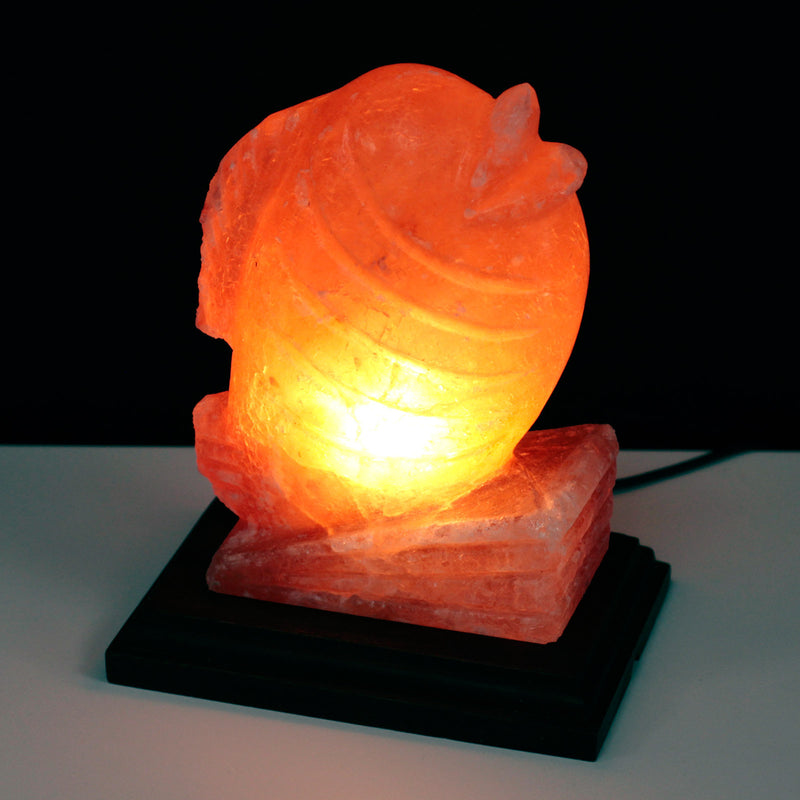 Himalaya Zout Lamp - Vis